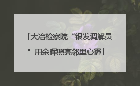 大冶检察院“银发调解员”用余晖照亮邻里心霾