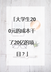 大学生200元的成本干了20亿的项目？