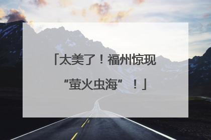 太美了！福州惊现“萤火虫海”！