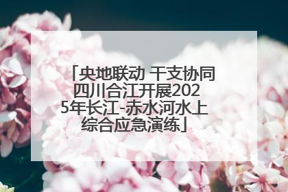 央地联动 干支协同 四川合江开展2025年长江-赤水河水上综合应急演练