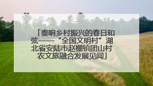 奏响乡村振兴的春日和弦——“全国文明村”湖北省安陆市赵棚镇团山村农文旅融合发展见闻