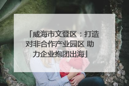 威海市文登区：打造对非合作产业园区 助力企业抱团出海
