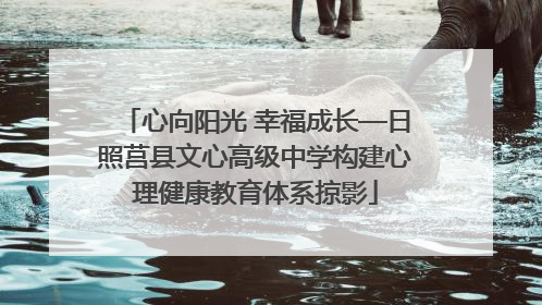 心向阳光 幸福成长—日照莒县文心高级中学构建心理健康教育体系掠影