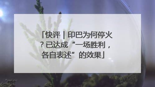 快评｜印巴为何停火？已达成“一场胜利，各自表述”的效果