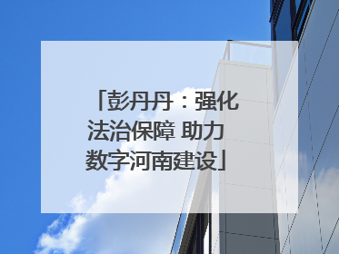 彭丹丹：强化法治保障 助力数字河南建设