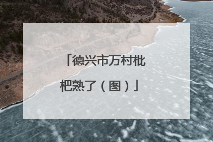 德兴市万村枇杷熟了（图）