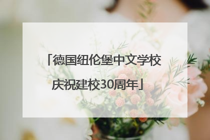 德国纽伦堡中文学校庆祝建校30周年