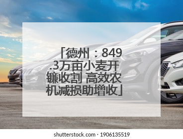 德州：849.3万亩小麦开镰收割 高效农机减损助增收