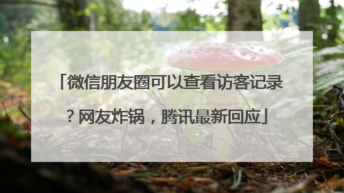 微信朋友圈可以查看访客记录？网友炸锅，腾讯最新回应