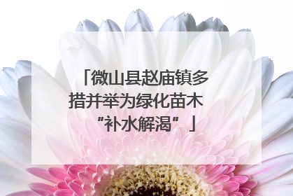 微山县赵庙镇多措并举为绿化苗木“补水解渴”