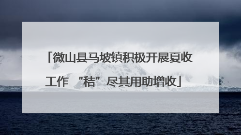 微山县马坡镇积极开展夏收工作 “秸”尽其用助增收