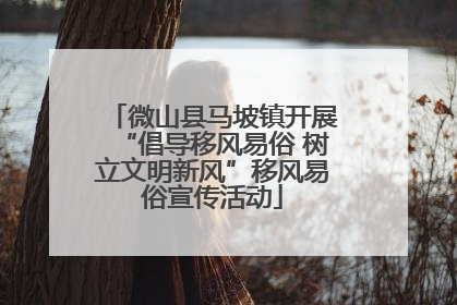 微山县马坡镇开展“倡导移风易俗 树立文明新风”移风易俗宣传活动