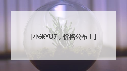 小米YU7，价格公布！