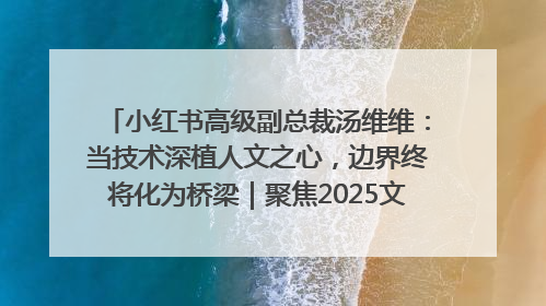小红书高级副总裁汤维维：当技术深植人文之心，边界终将化为桥梁｜聚焦2025文化强国建设高峰论坛