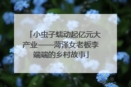 小虫子蠕动起亿元大产业——菏泽女老板李端端的乡村故事