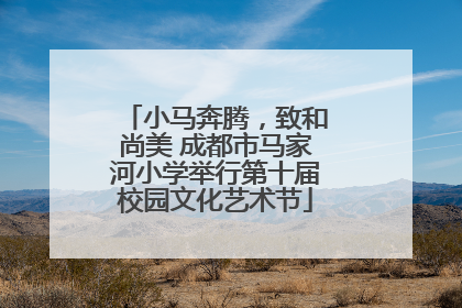 小马奔腾，致和尚美 成都市马家河小学举行第十届校园文化艺术节