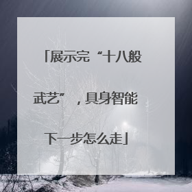 展示完“十八般武艺”，具身智能下一步怎么走