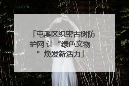 屯溪区织密古树防护网 让“绿色文物”焕发新活力