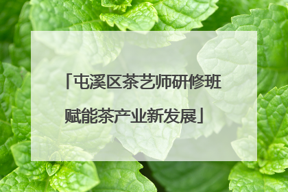 屯溪区茶艺师研修班赋能茶产业新发展