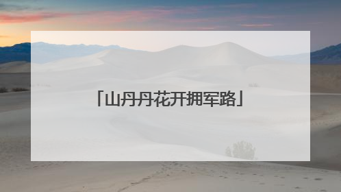 山丹丹花开拥军路