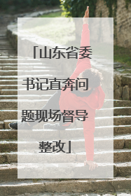 山东省委书记直奔问题现场督导整改