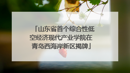 山东省首个综合性低空经济现代产业学院在青岛西海岸新区揭牌