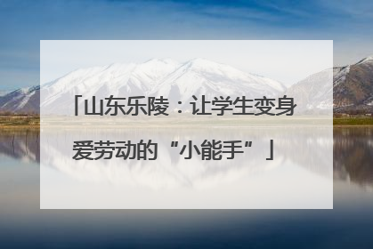 山东乐陵：让学生变身爱劳动的“小能手”