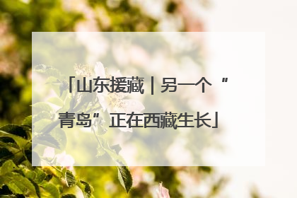 山东援藏｜另一个“青岛”正在西藏生长