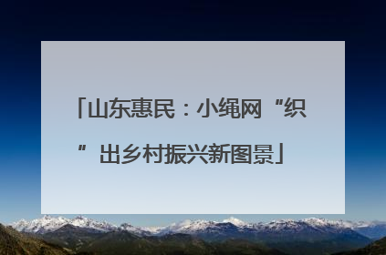 山东惠民：小绳网“织”出乡村振兴新图景