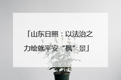 山东日照：以法治之力绘就平安“枫”景