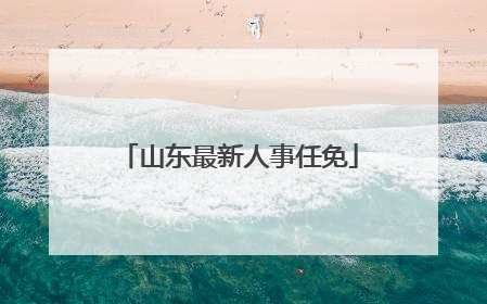 山东最新人事任免