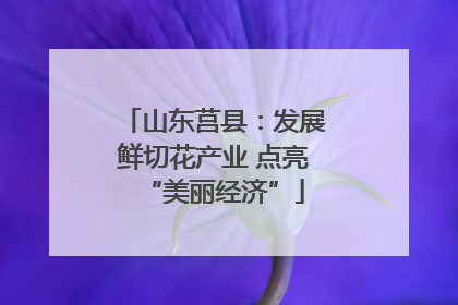 山东莒县：发展鲜切花产业 点亮“美丽经济”