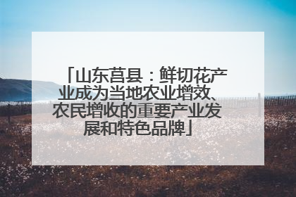 山东莒县：鲜切花产业成为当地农业增效、农民增收的重要产业发展和特色品牌