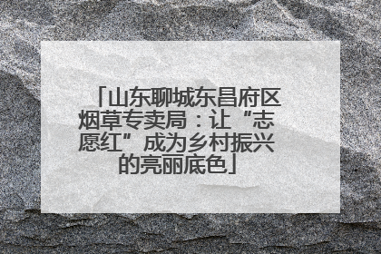 山东聊城东昌府区烟草专卖局：让“志愿红”成为乡村振兴的亮丽底色