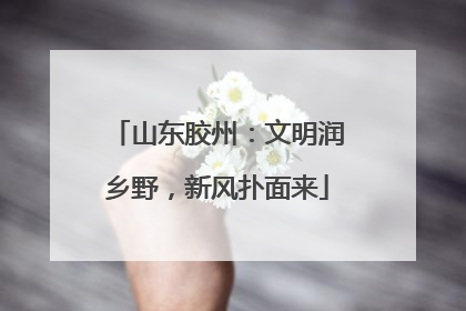 山东胶州：文明润乡野，新风扑面来