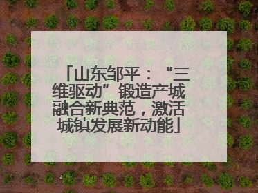 山东邹平：“三维驱动”锻造产城融合新典范，激活城镇发展新动能