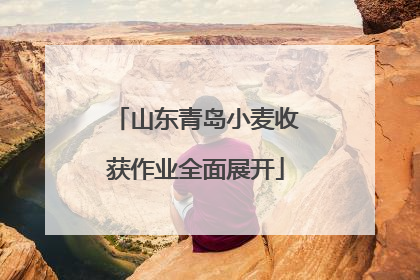 山东青岛小麦收获作业全面展开