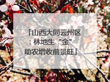 山西大同云州区：林地生“金” 助农增收前景旺
