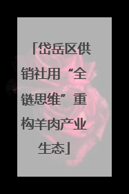 岱岳区供销社用“全链思维”重构羊肉产业生态