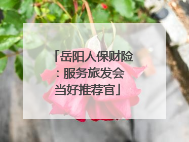 岳阳人保财险：服务旅发会 当好推荐官