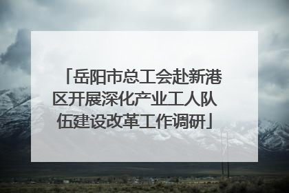 岳阳市总工会赴新港区开展深化产业工人队伍建设改革工作调研