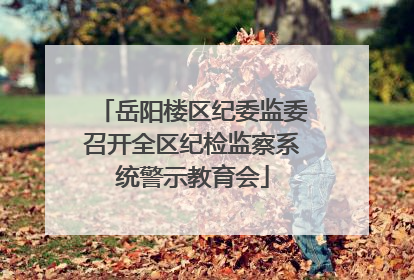 岳阳楼区纪委监委召开全区纪检监察系统警示教育会