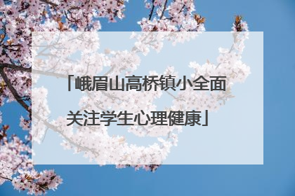 峨眉山高桥镇小全面关注学生心理健康