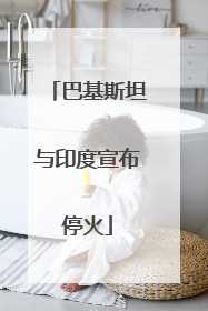 巴基斯坦与印度宣布停火