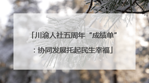 川渝人社五周年“成绩单”：协同发展托起民生幸福
