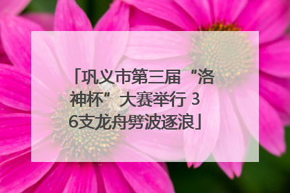 巩义市第三届“洛神杯”大赛举行 36支龙舟劈波逐浪