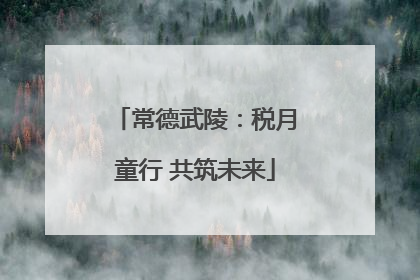 常德武陵：税月童行 共筑未来