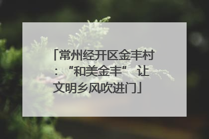 常州经开区金丰村：“和美金丰” 让文明乡风吹进门