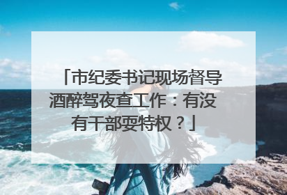 市纪委书记现场督导酒醉驾夜查工作：有没有干部耍特权？