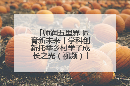 师润五里界 匠育新未来丨学科创新托举乡村学子成长之光（视频）